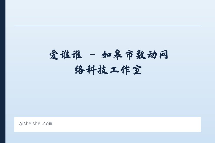 爱谁谁 - 如皋市数动网络科技工作室 列表图